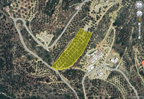 Located in Mochlos. Building plot of 5363 m2, beautifully positioned on the slope of a hill east of Mochlos, 600m from the sea, enjoying unobstructed views of the sea, the hills and the mountains. It has a building capacity of 227 m2 + basement and i...