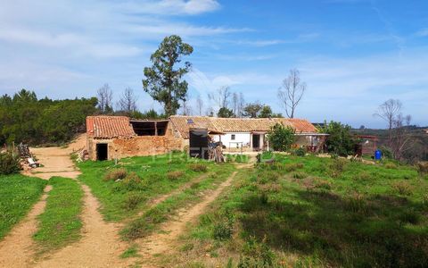 Ferme de 9 1400 hectares avec une villa de 263 m2 en cours de reconstruction. Maison composée de 4 chambres, salon avec poêle à bois, salle de bain et porche. Il dispose d’un support agricole avec un furonum aux extrémités de la propriété. Avec un bo...