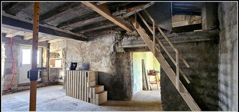 photo no. 2