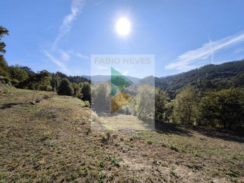 Ruína localizada em Ruivos, Ponte da Barca, situada num local completamente isolado e tranquilo. O terreno tem aproximadamente 2000 m², com boa exposição solar, ideal para quem procura privacidade e contacto com a natureza. A ruína tem uma área de im...