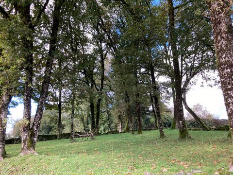 Situé au cœur de la pittoresque commune de Gorses, dans la magnifique région du Ségala lotois, découvrez trois parcelles de terrains constructibles prêtes à accueillir vos projets de vie : Parcelle 1 : 530 m² Parcelle 2 : 395 m² Parcelle 3 : 485 m² C...