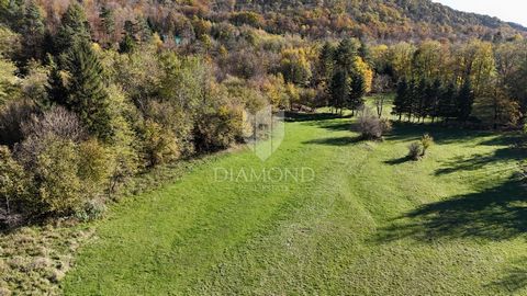 Location: Primorsko-goranska županija, Klana, Klana. Klana - Grande Terreno con Tanto Potenziale In vendita: Terreno agricolo di 9.587 m² situato nei pressi di Klana, lungo una strada che porta al bosco. Il terreno è prevalentemente pianeggiante, cop...