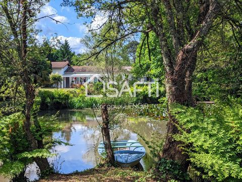 Within Landes Forest countryside, 10 minutes away from Morcenx-la-Nouvelle train station, which serves Bordeaux (and then Paris), Arcachon and Biarritz in 1 hour, and 35 minutes away from Contis Atlantic Ocean beach by car, come visit le Domaine de l...