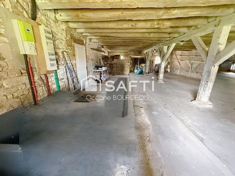 photo no. 7