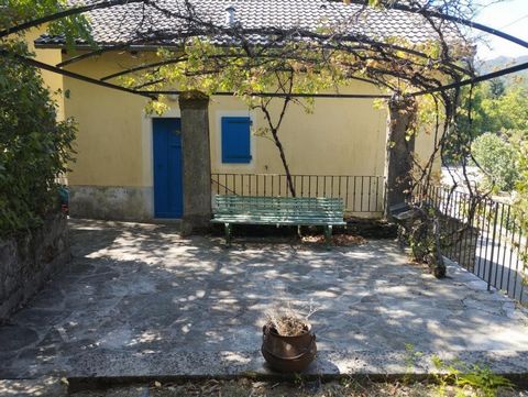 photo no. 5