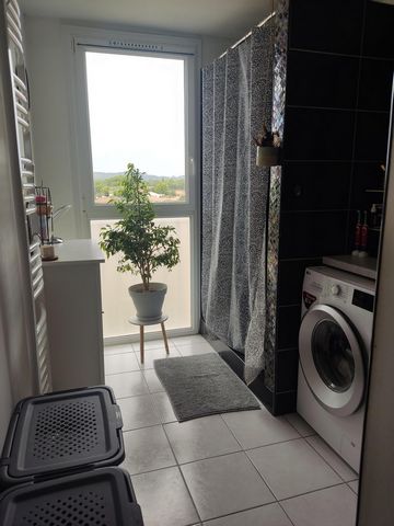 photo no. 11