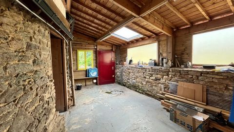photo no. 10