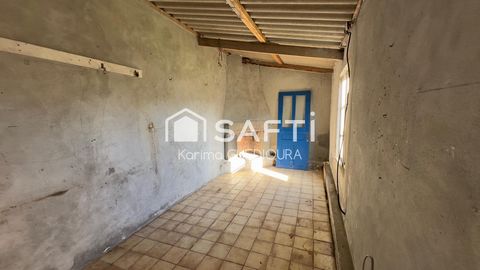 photo no. 16