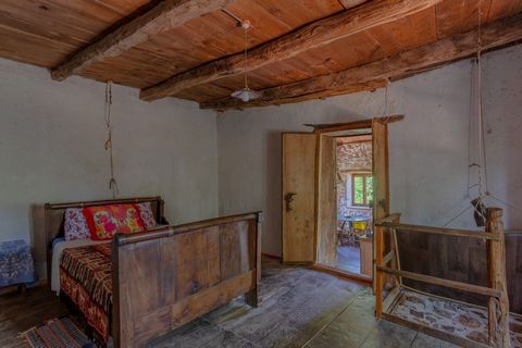 photo no. 13