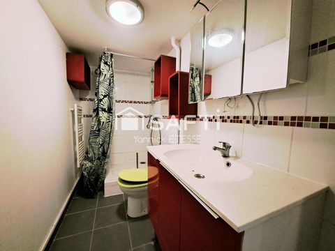 photo no. 16