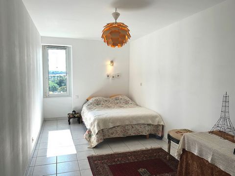 photo no. 11