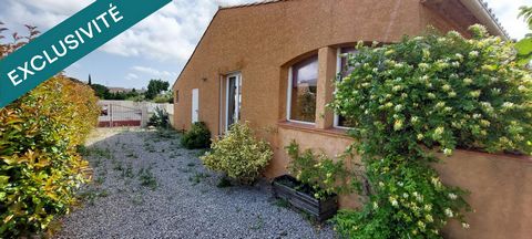 photo no. 12