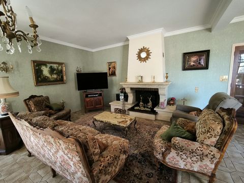 photo no. 15