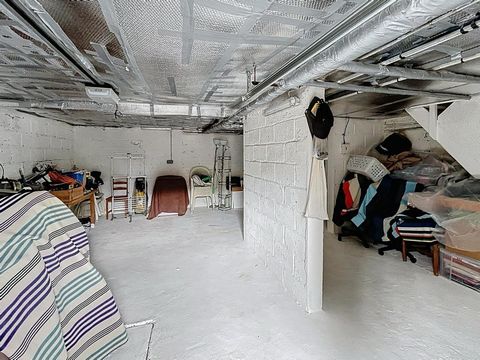 photo no. 11