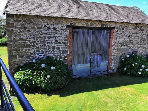 photo no. 10