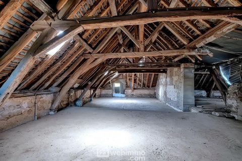 photo no. 15