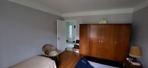 photo no. 2
