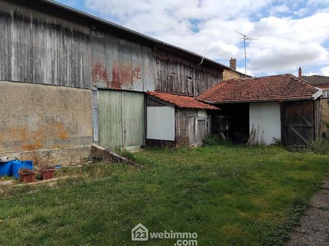 photo no. 11