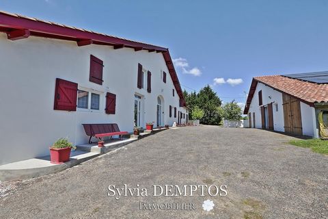 photo no. 5