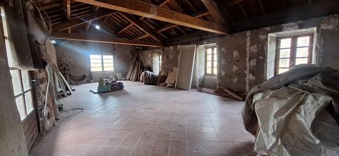 photo no. 10