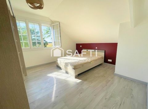 photo no. 11