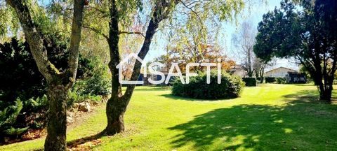 photo no. 15