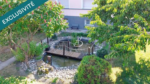 photo no. 11