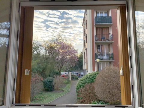 photo no. 10