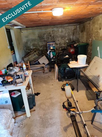 photo no. 12