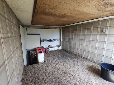 photo no. 3