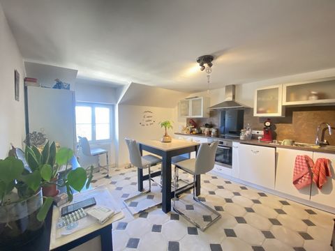 Appartement rénové avec jardins et garage