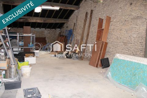 photo no. 13