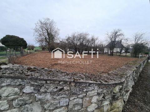 photo no. 1