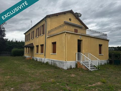 photo no. 12