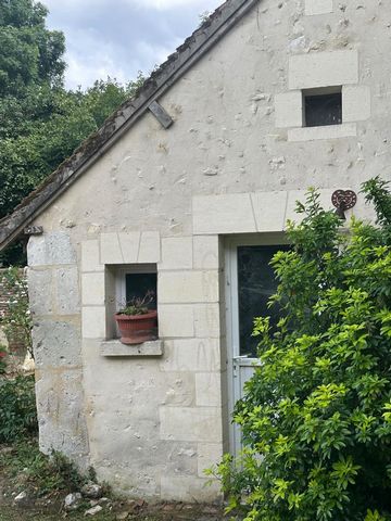 photo no. 13