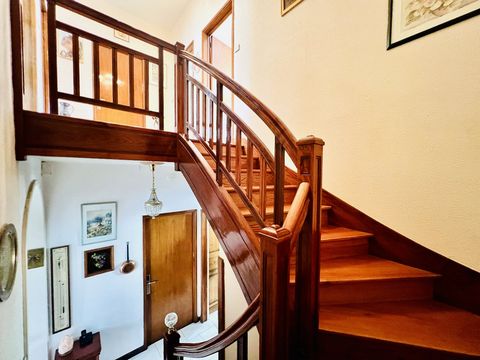 photo no. 7