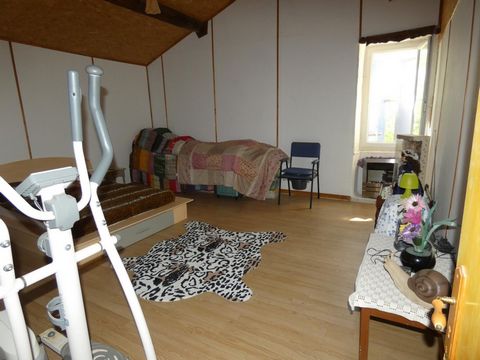photo no. 5