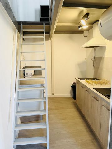 photo no. 3
