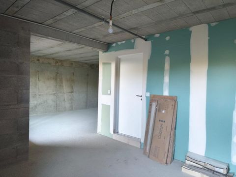 photo no. 10