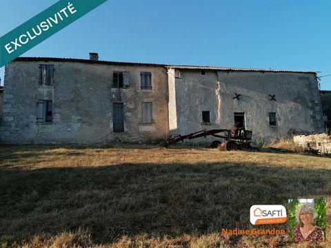 photo no. 3