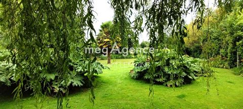 photo no. 1