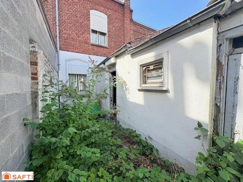 photo no. 15