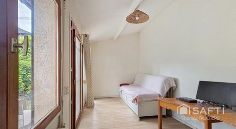 photo no. 6