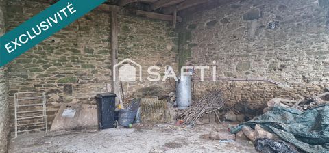photo no. 15