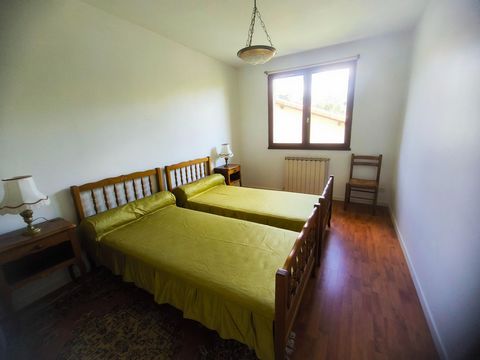 photo no. 7