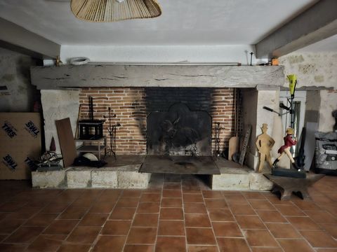 photo no. 19