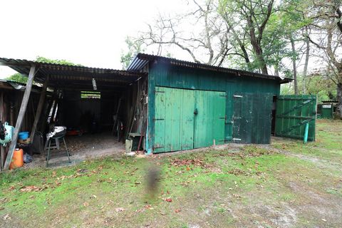 photo no. 10