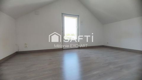 photo no. 12