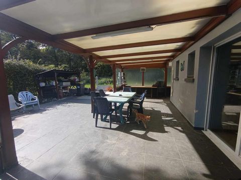 photo no. 11
