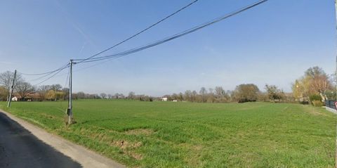 Votre futur commence ici : terrain constructible viabilisé